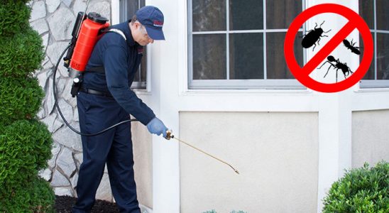 Kula Hamam Böceği İlaçlama böcek ilaçlama ve haşere kontrolü — ilaclama-tr.com
